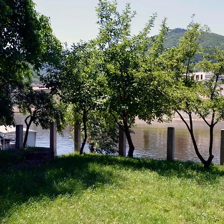 Rosa Višegrad
